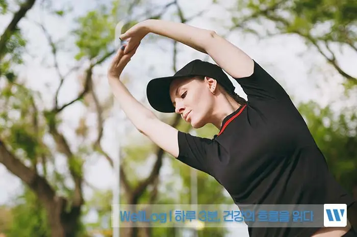 파비플로라 효능