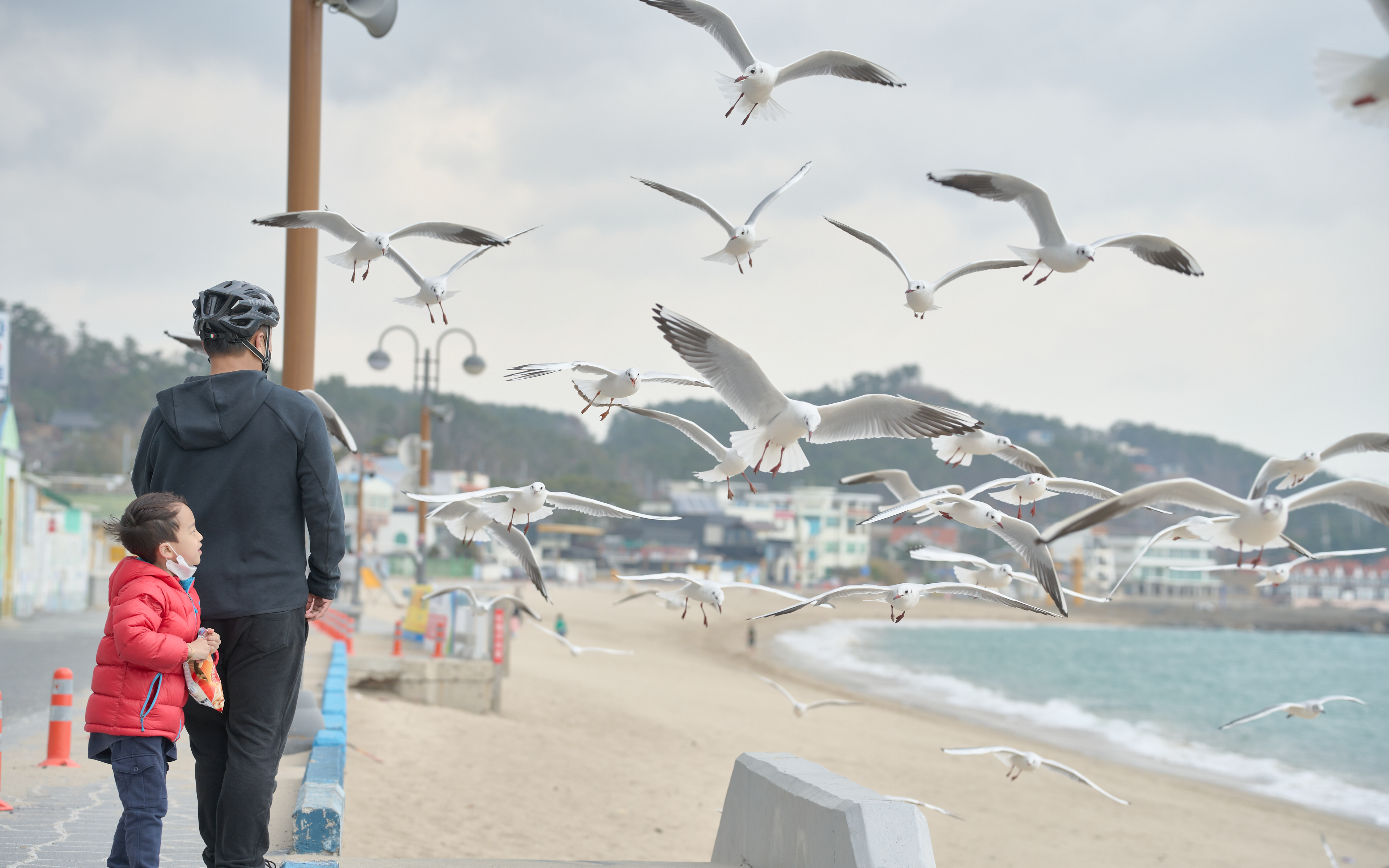 기장매화원 매화축제 66