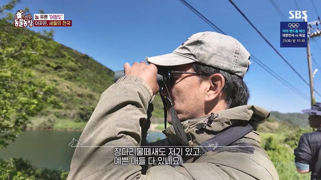 TV 동물농장.E1181.240722p-NEXT.mp4_20240721_165601.234.jpg