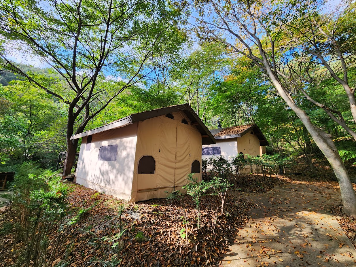 소백산국립공원 삼가야영장 이미지