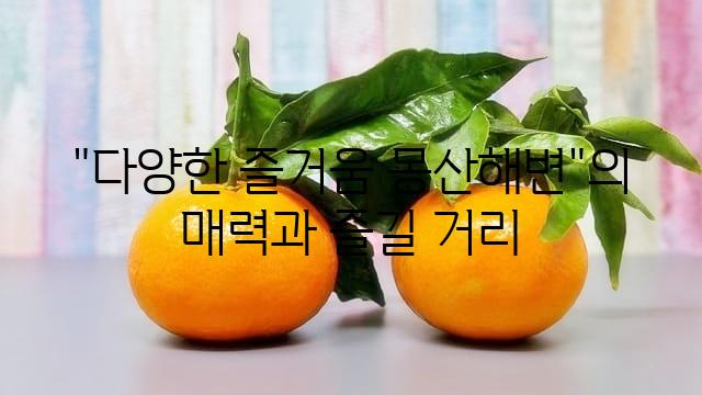 랜덤151