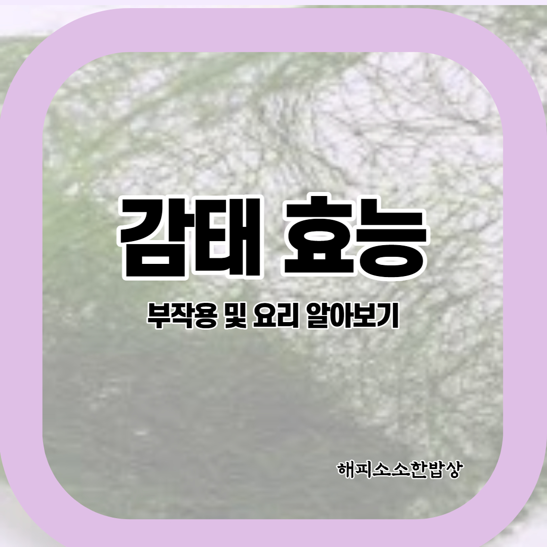  감태 효능 및 요리법