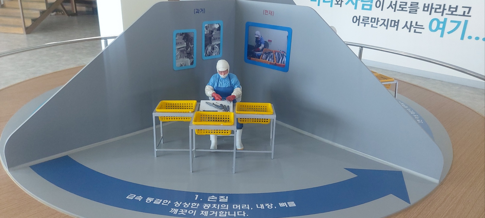포항에 구룡포에있는~ 과메기 5