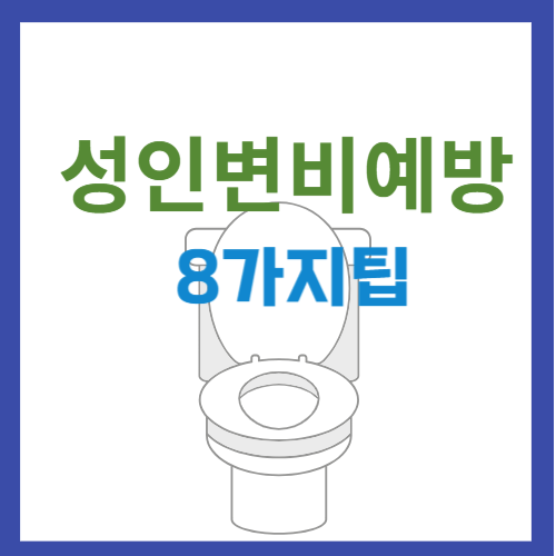 성인변비