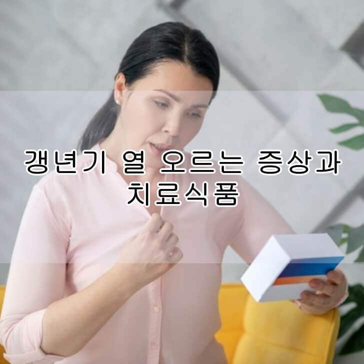 갱년기열오르는증상