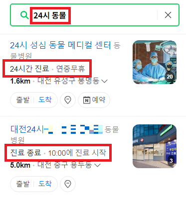 24시 동물병원 찾기 (내 근처 동물병원 찾기)