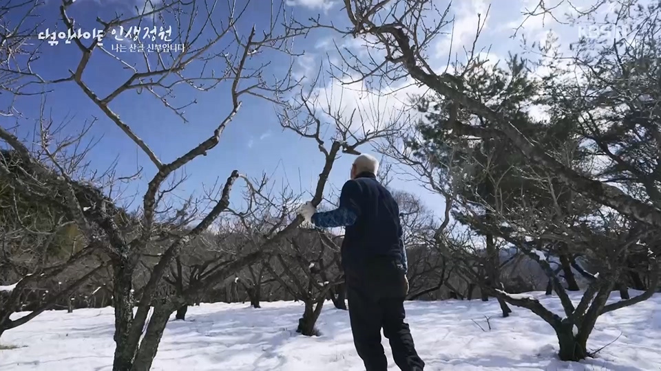 다큐 인사이트.E153.230608p.H264-F1RST.mp4_20230612_204536.305.jpg