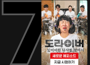 도라이버