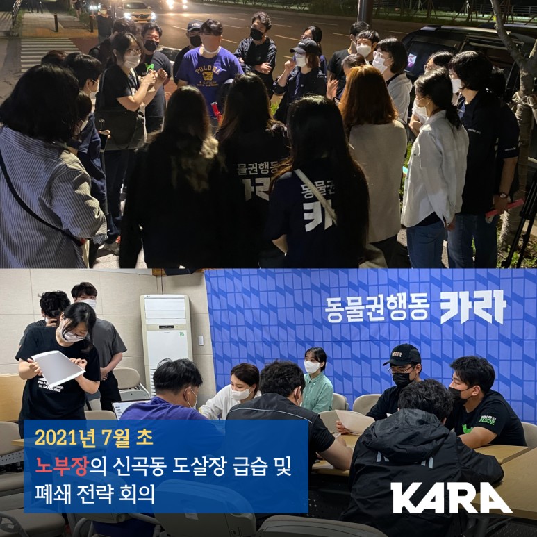 식용 [탄원참여요청] "파주경매장의 도살자들을 찾아서" _ 2