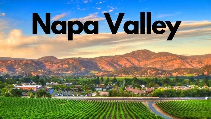 나파 밸리 (Napa Valley)