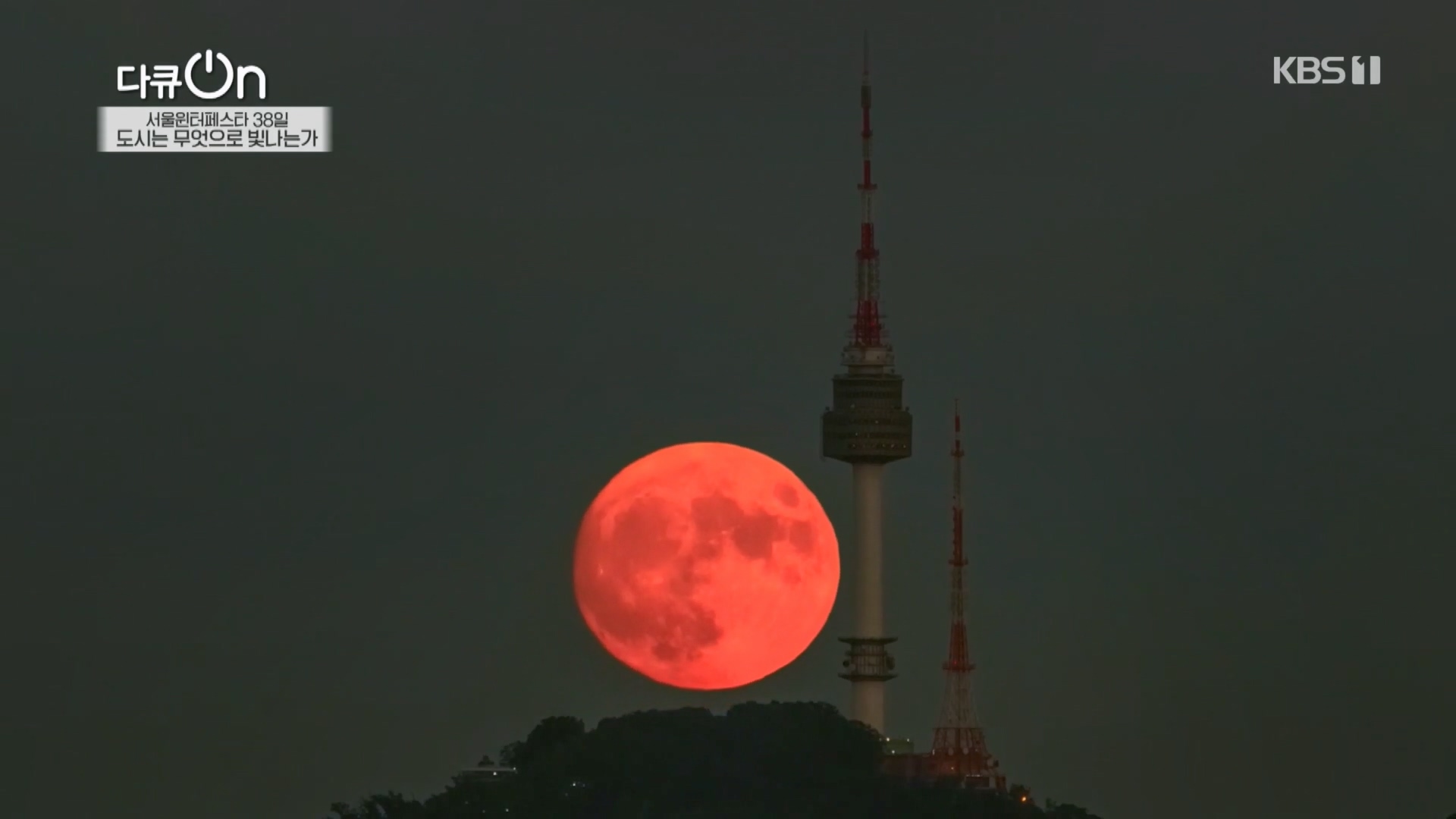 다큐 On.E239.240217p.H264-F1RST.mp4_20240218_170942.814.jpg