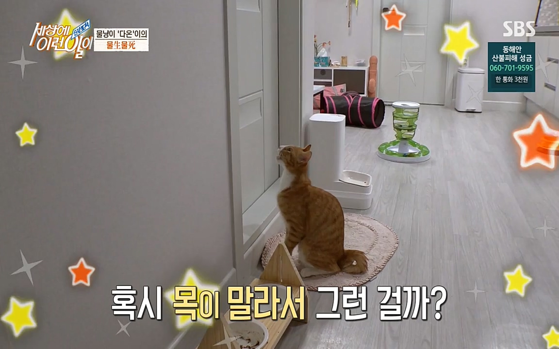 순간포착 세상에 이런일이.E1171.220316p-NEXT.mp4_20220316_184925.540.jpg