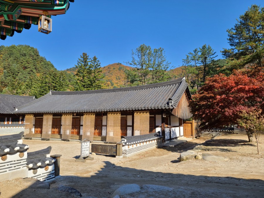 백담사 단풍 멋지다 ( 셔틀버스안내 ) 강원도 인제 여행 / 설악산 7