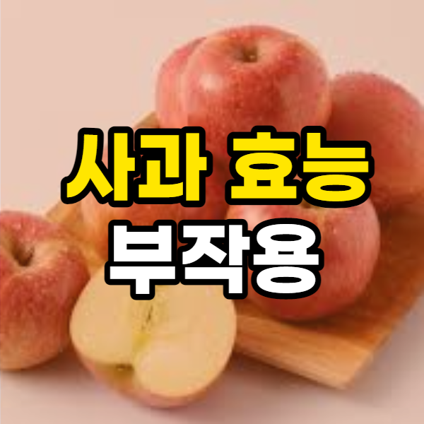  사과 효능 10가지 및 부작용