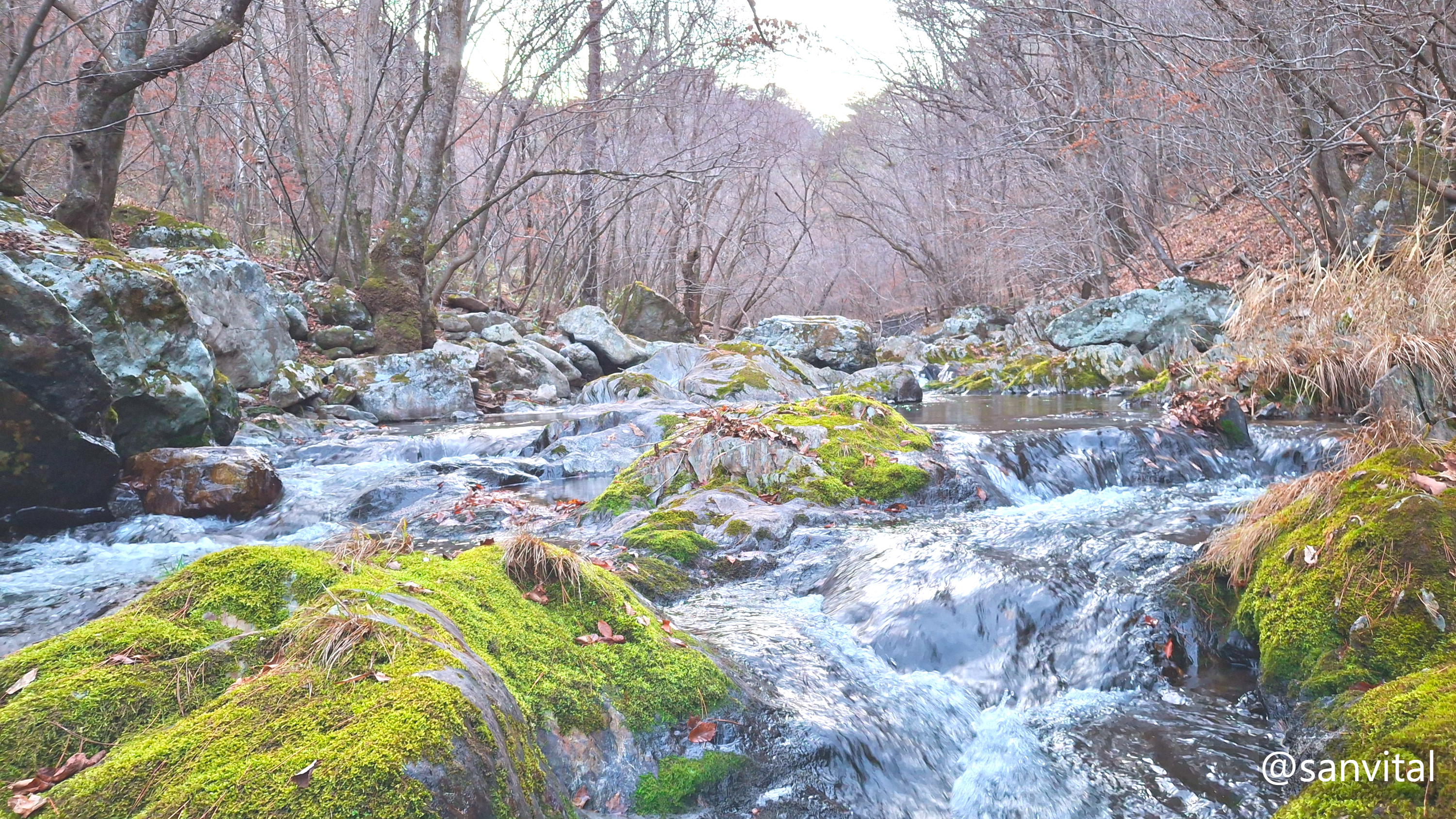 태백산 백천계곡