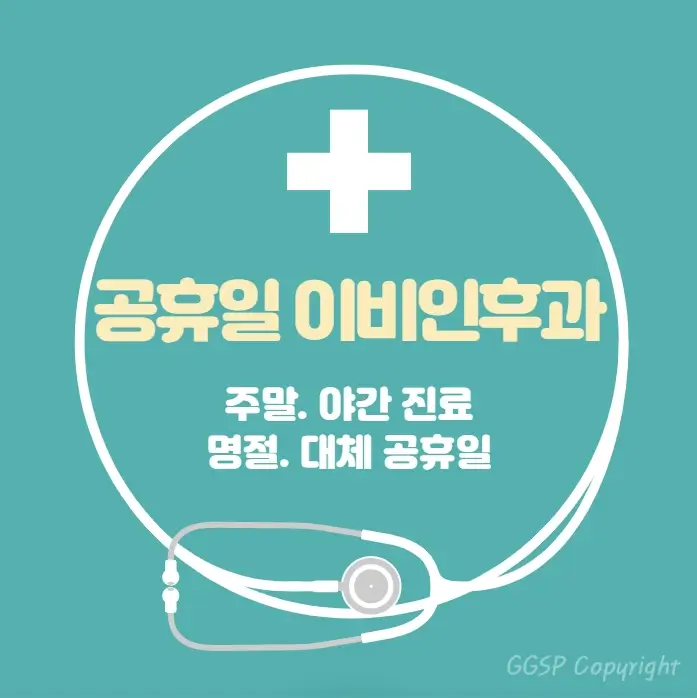  공휴일 24시간 병원 이비인후과 | 대체공휴일 진료 당직병원 찾기