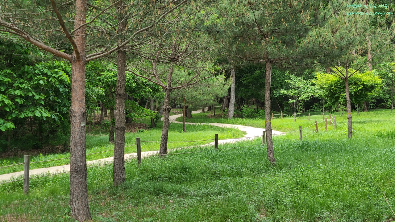 동구릉숲길개방