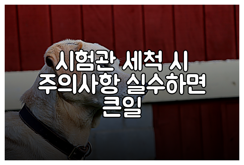 시험관 세척 시 주의사항 실수하면 큰일