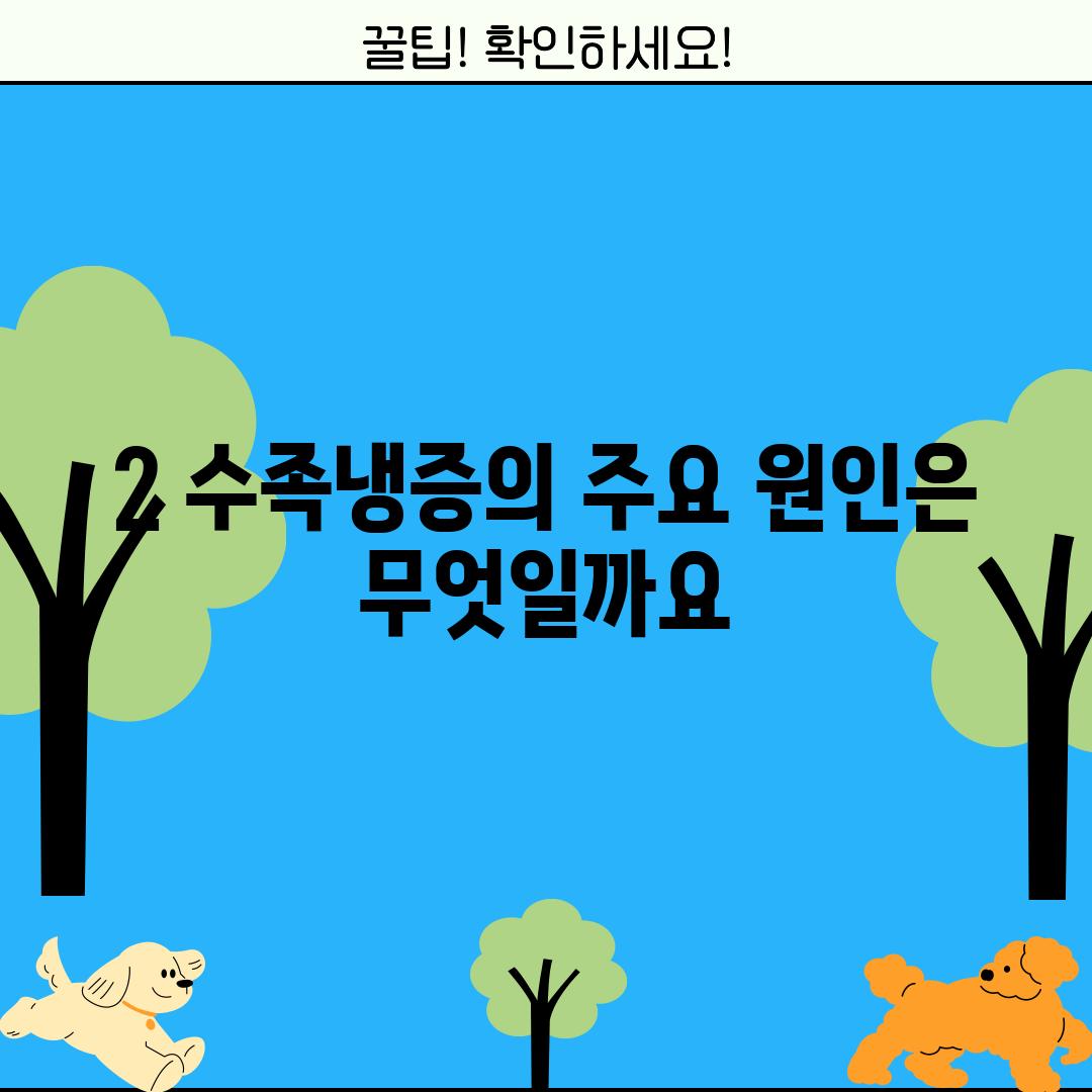 2. 수족냉증의 주요 원인은 무엇일까요?