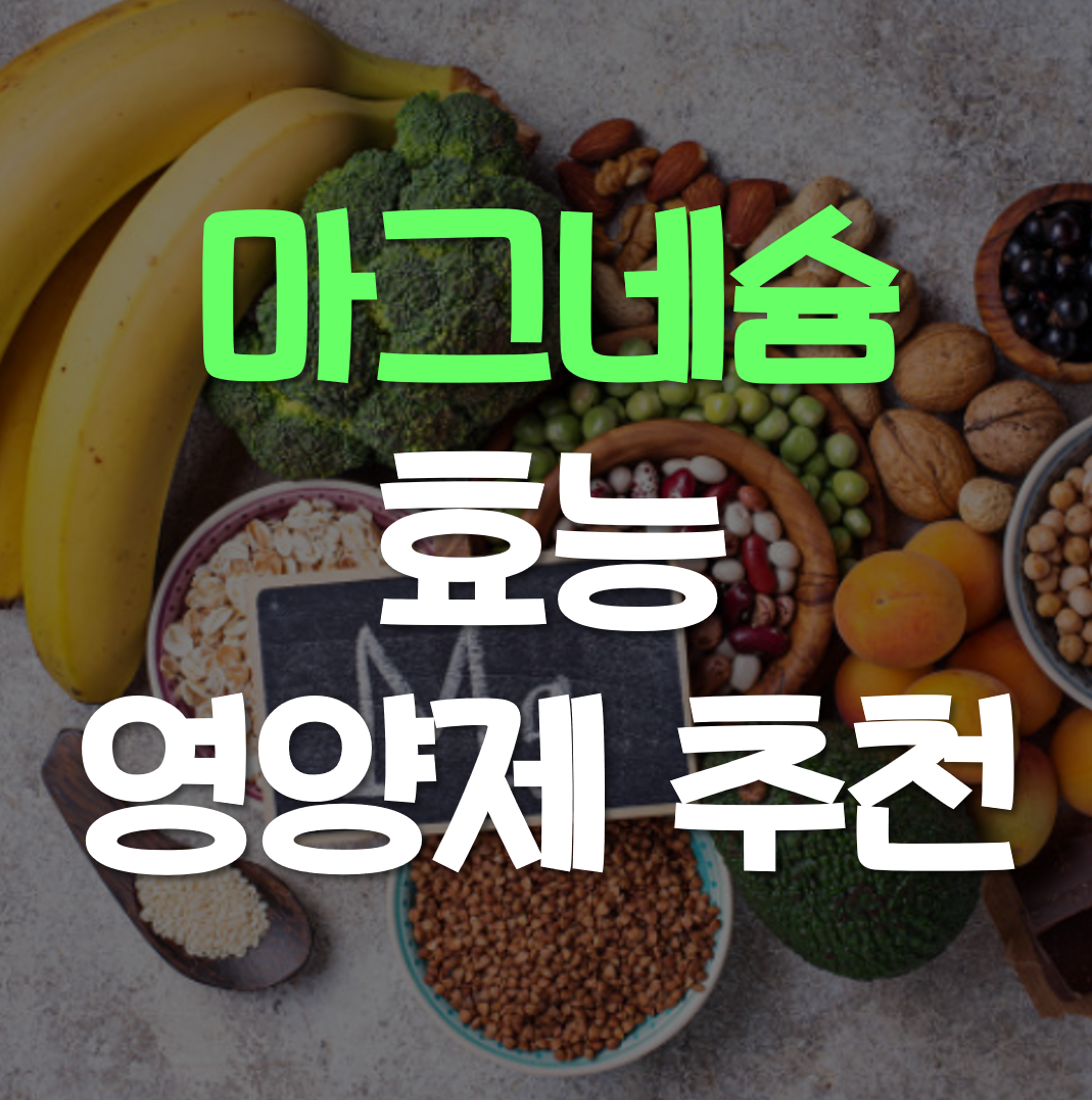  마그네슘 영양제 추천 효능