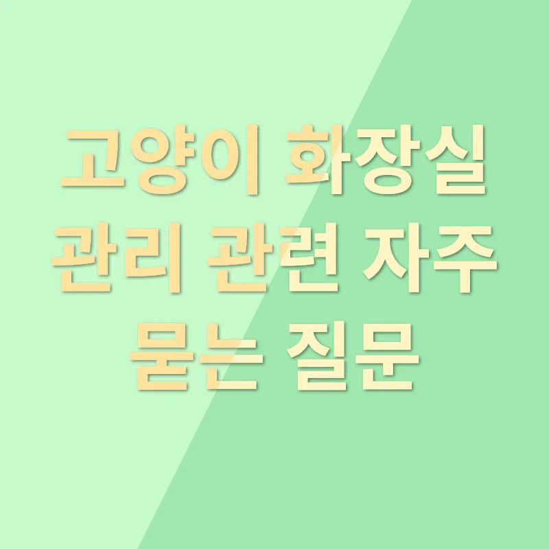 고양이 화장실 관리_4