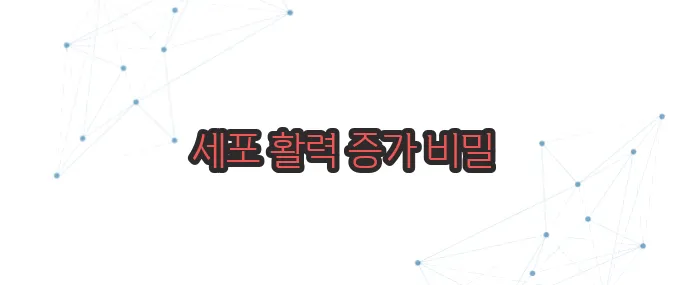 베타글루칸 효능 이보다 자세히 설명할순없다
