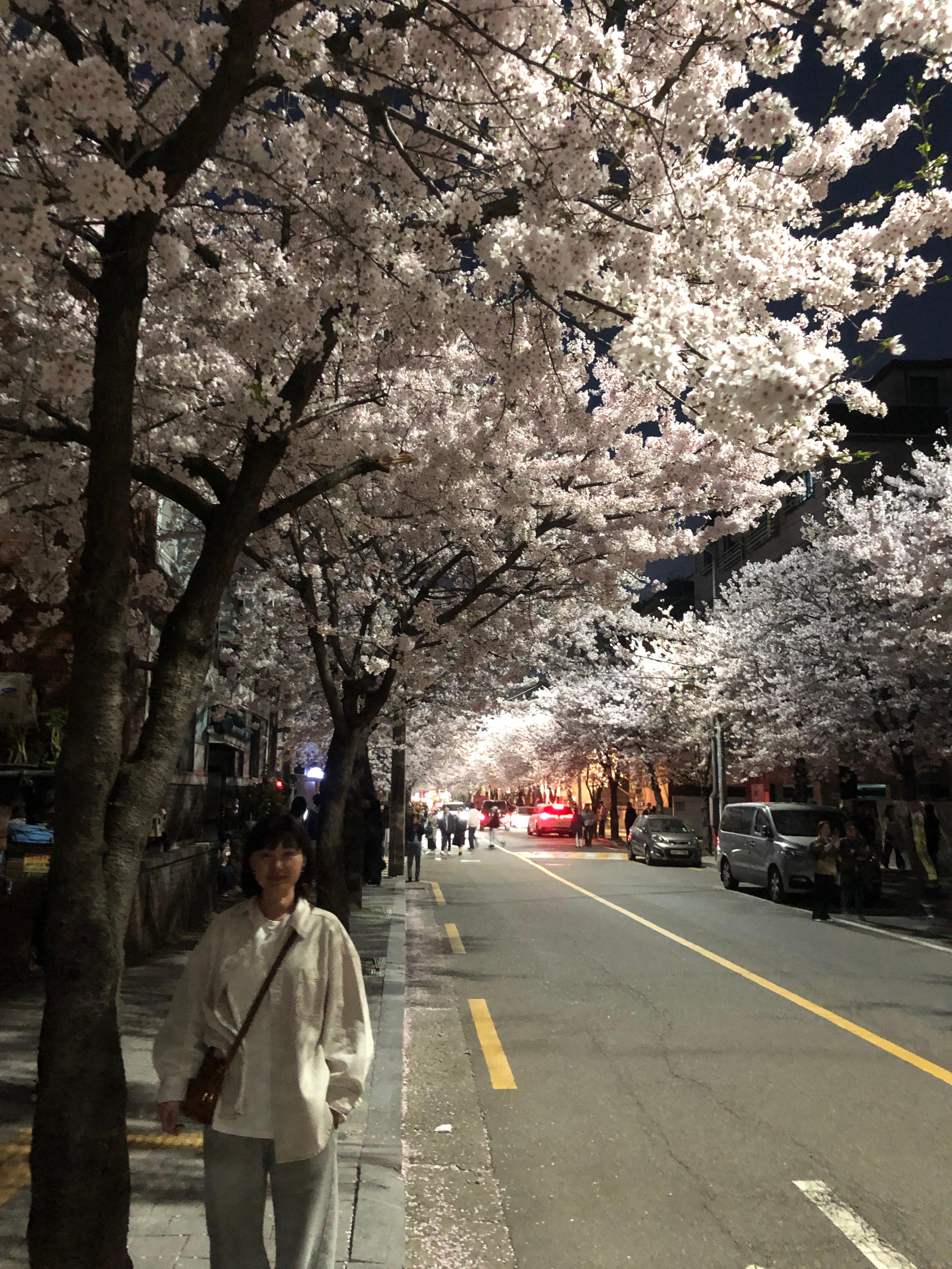 alt=&quot;서울 도심 속 숨겨진 벚꽃 명소&quot;