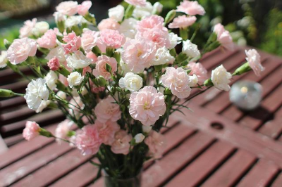 탁자 위 흰색과 분홍색 카네이션이 꽂혀 있는 꽃병