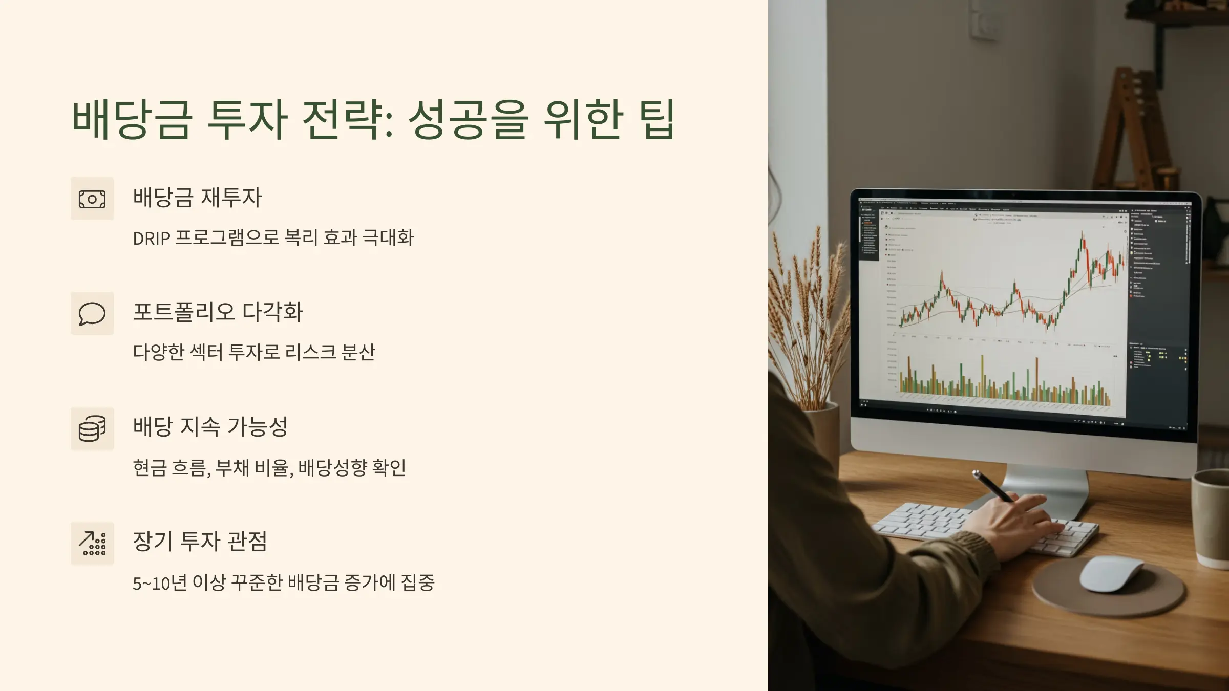 배당금 투자 전략