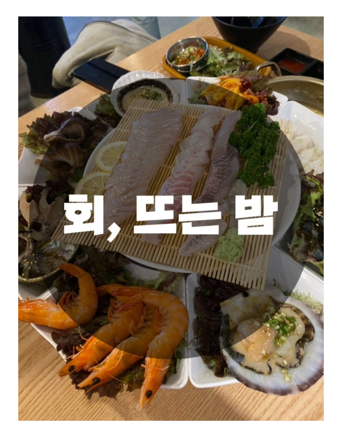  : 경기 수원시 세류동 : 서비스는 아쉬웠지만 맛은 좋았던 수원 회 맛집 회, 뜨는 밤