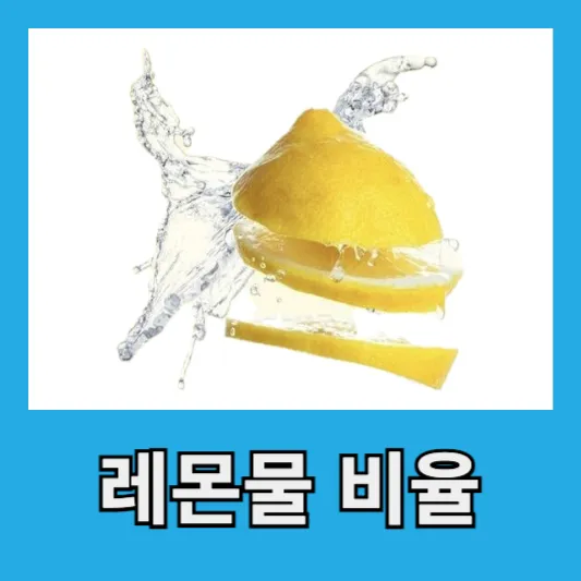 레몬물 만드는법(레몬물 비율)