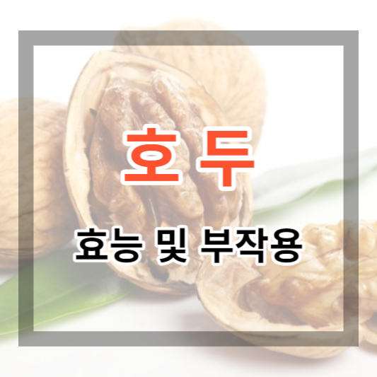 호두 효능 및 부작용, 호두와 피칸 차이점 정보로 호두 건강하게 먹기