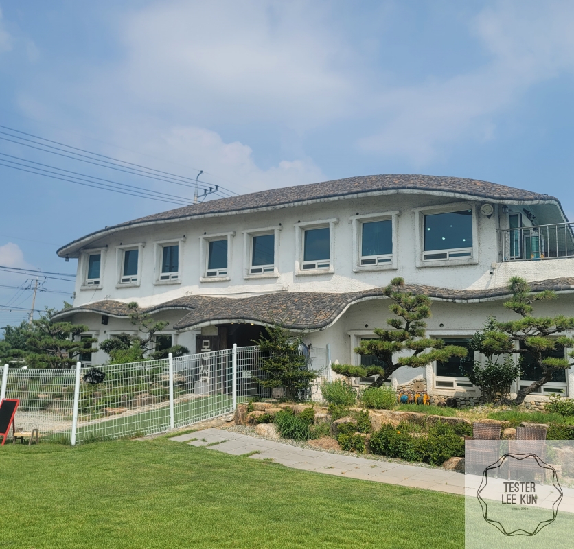  부산 애견카페 강아지 운동장 보유 힐링 공간 몽썸 방문 후기