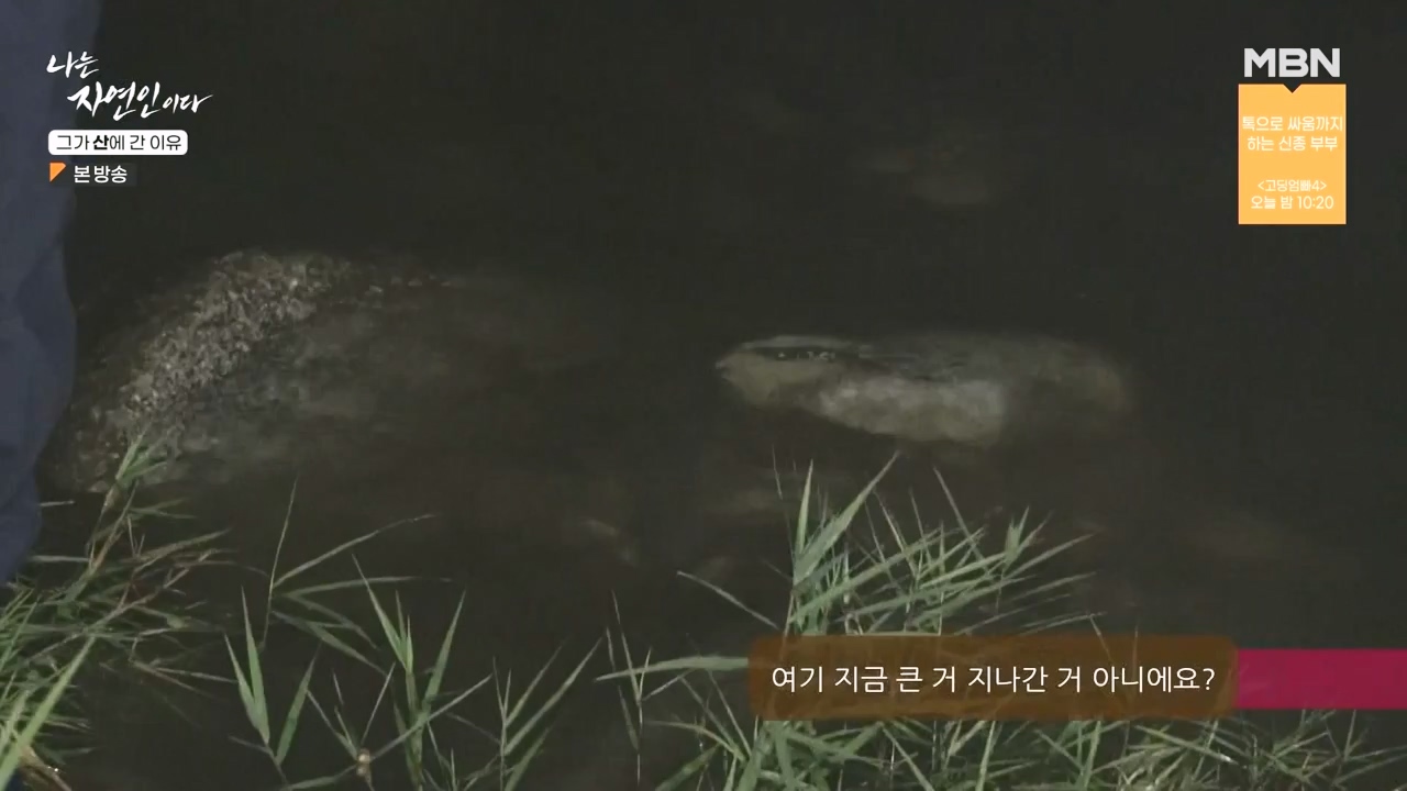 나는 자연인이다.E575.231012p-NEXT.mp4_20231012_201006.629.jpg