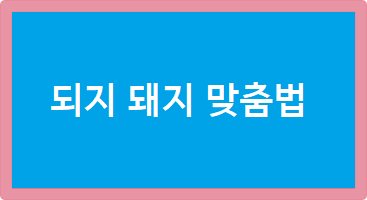 되지 돼지 맞춤법