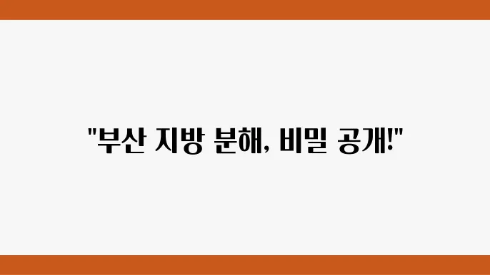 부산 지방분해주사 추천, 가격 비교하기