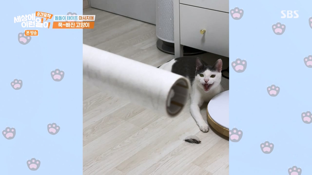 순간포착 세상에 이런일이.E1250.231029p-NEXT.mp4_20231029_153356.141.jpg