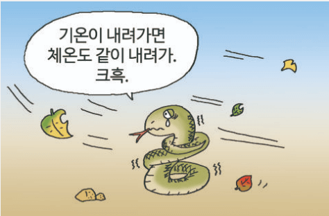체온 조절을 할 수 없는 변온동물인 뱀
