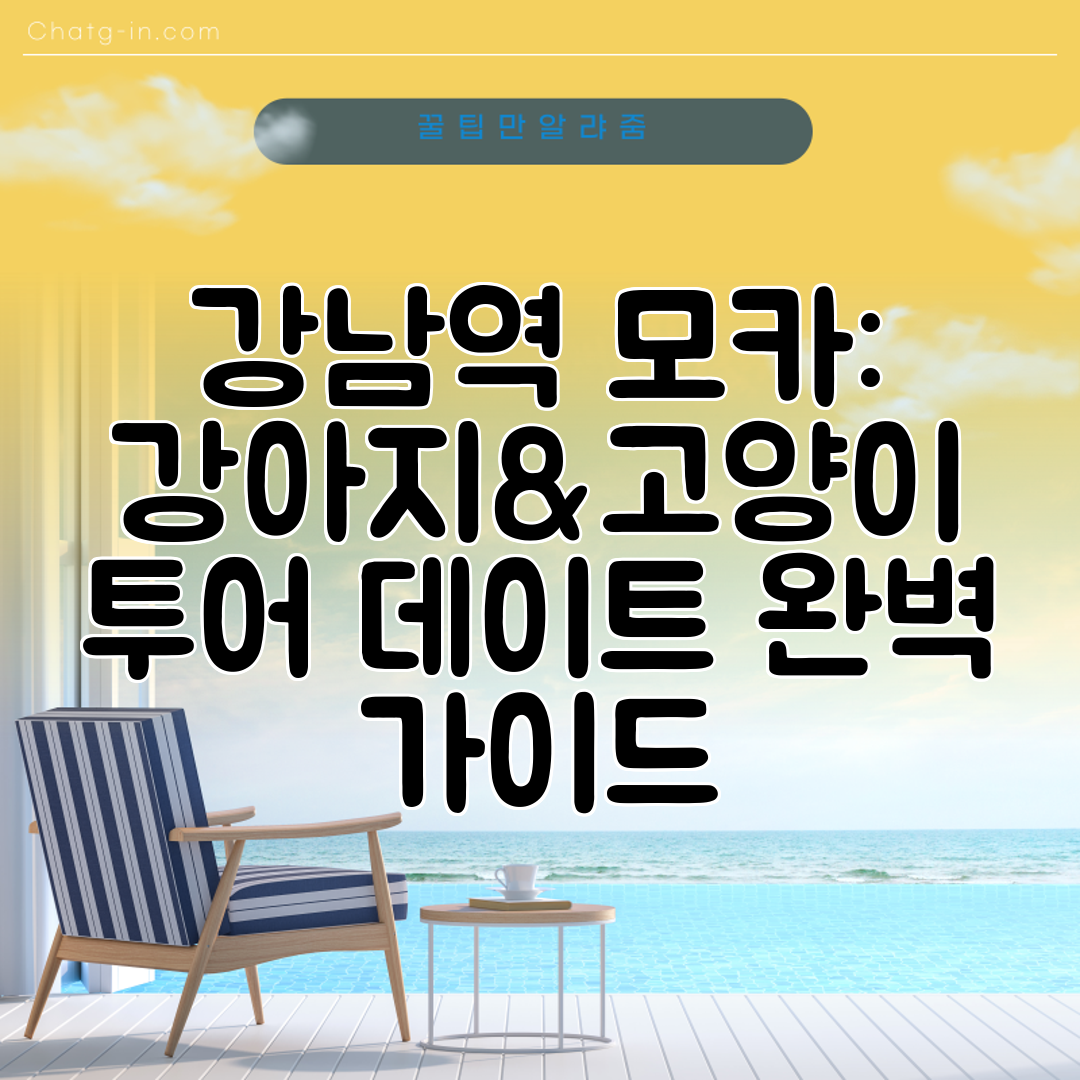 강남역 모카 강아지&amp;고양이 투어 데이트 완벽 가이드