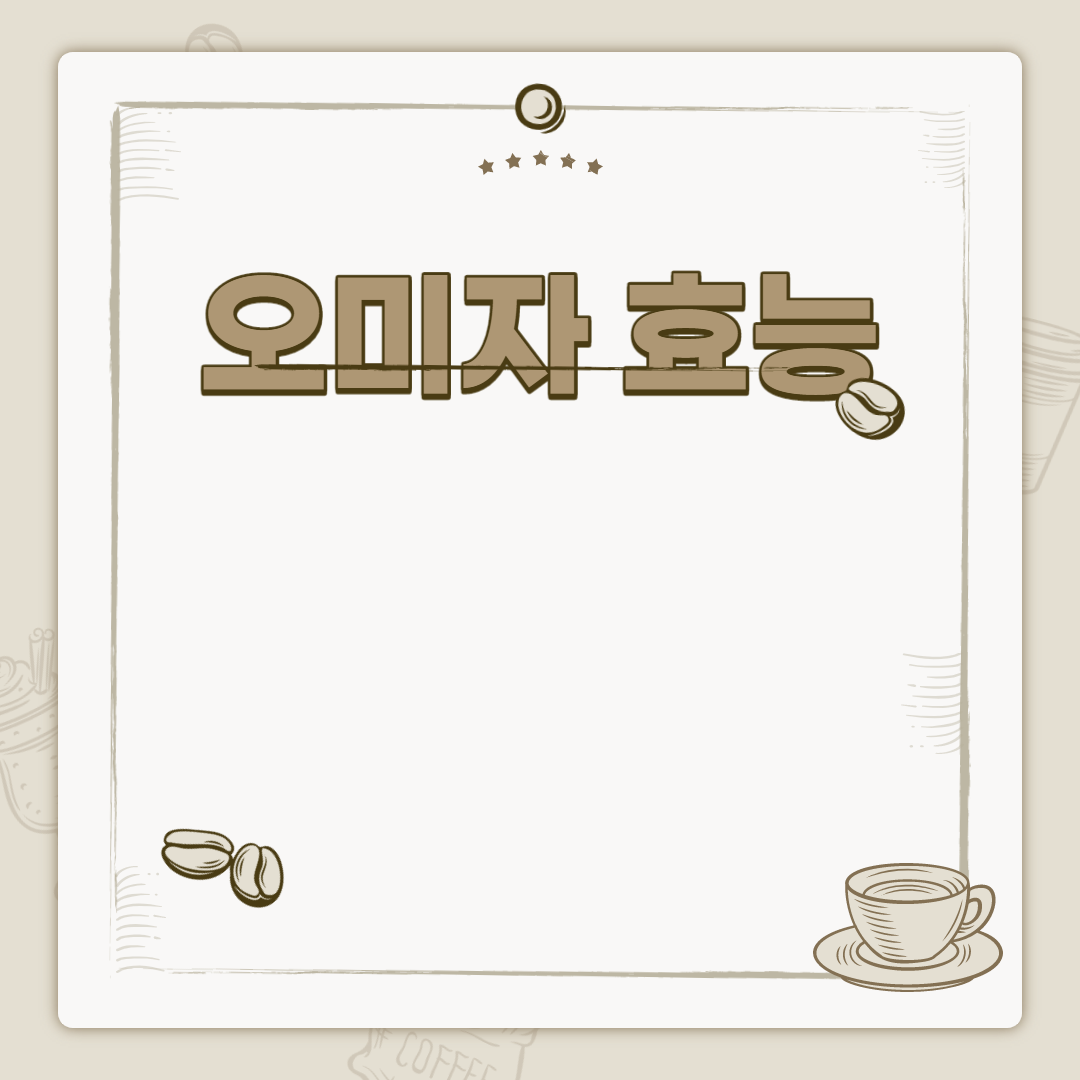  오미자 효능