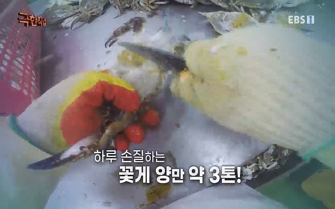 TV - 교육의 중심 EBS간편식 전쟁.mp4_20221002_184828.352.jpg