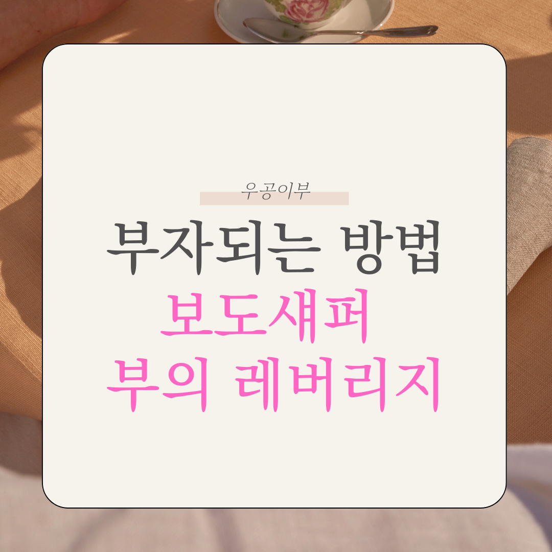 부자되는 방법 소득을 높여라 보도섀퍼 부의레버리지