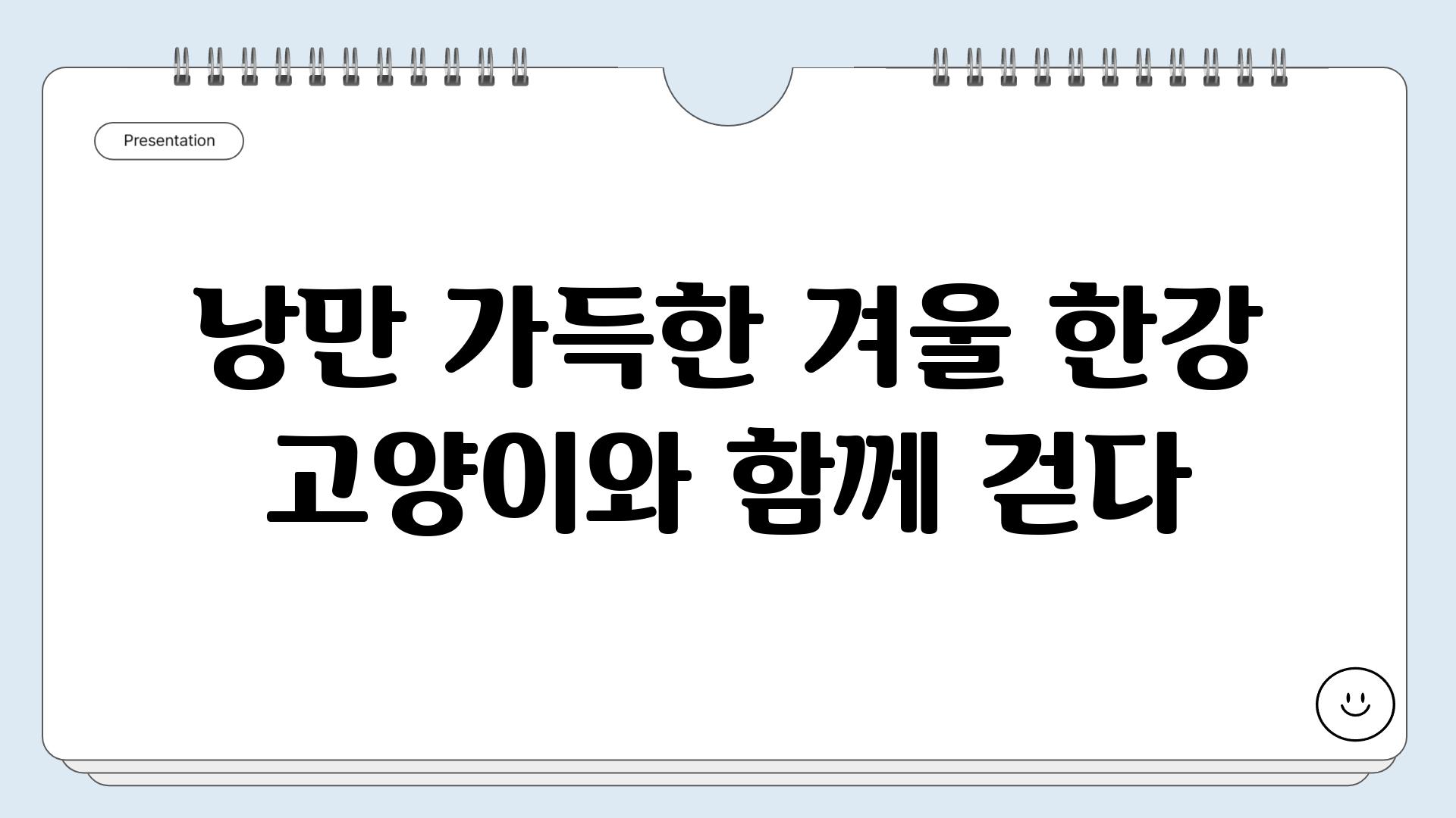 낭만 가득한 겨울 한강 고양이와 함께 걷다