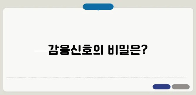감응신호란? 모르면 계속 신호대기! 필독!