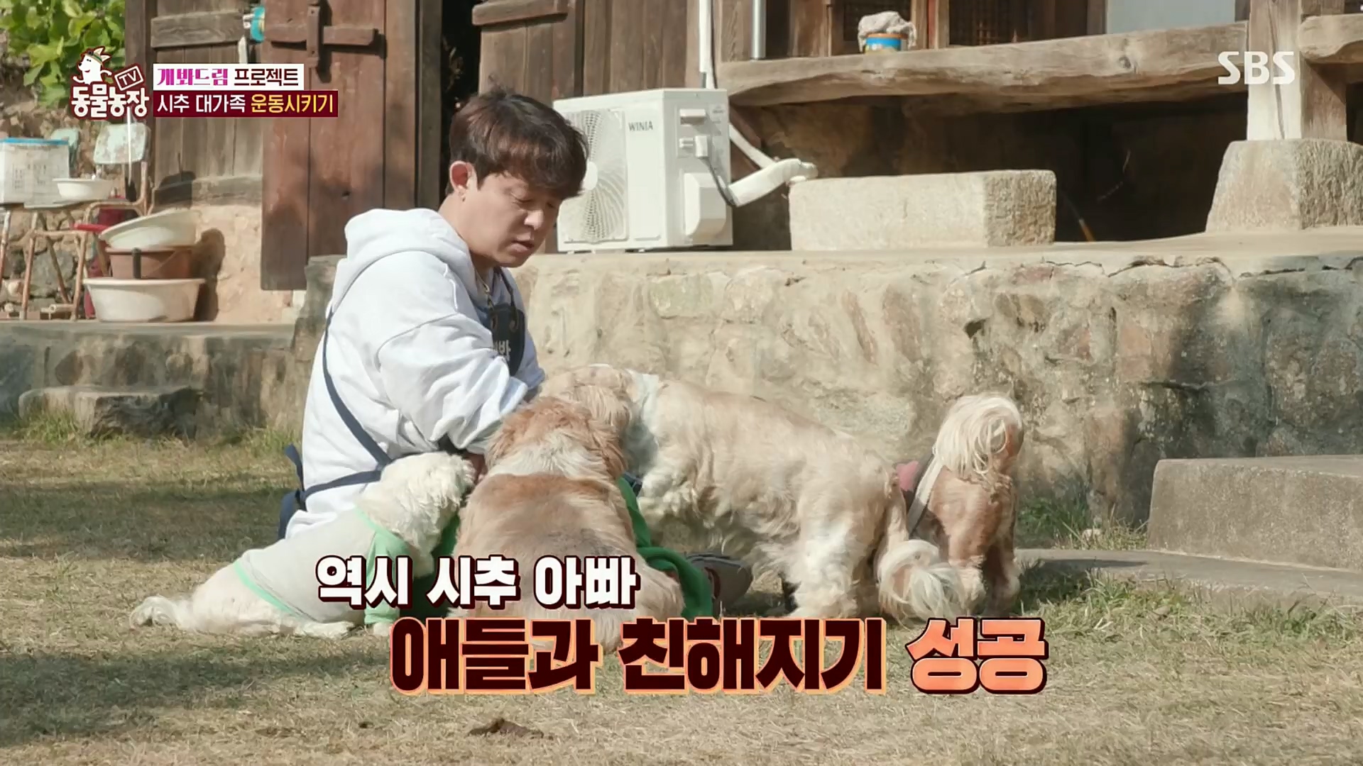 TV 동물농장.E1102.230101p.H264-F1RST.mp4_20230101_182850.915.jpg