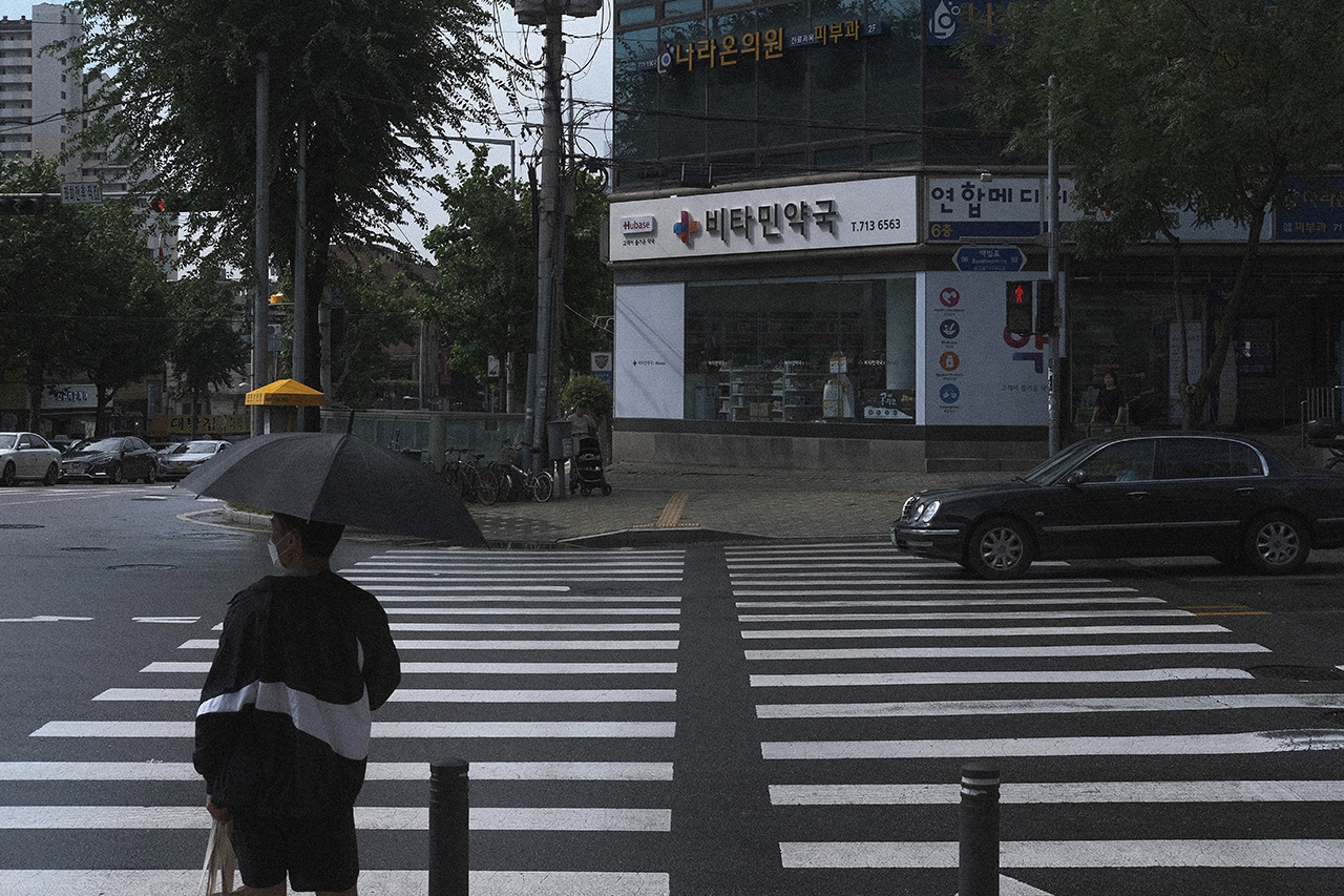 서울시 1인가구