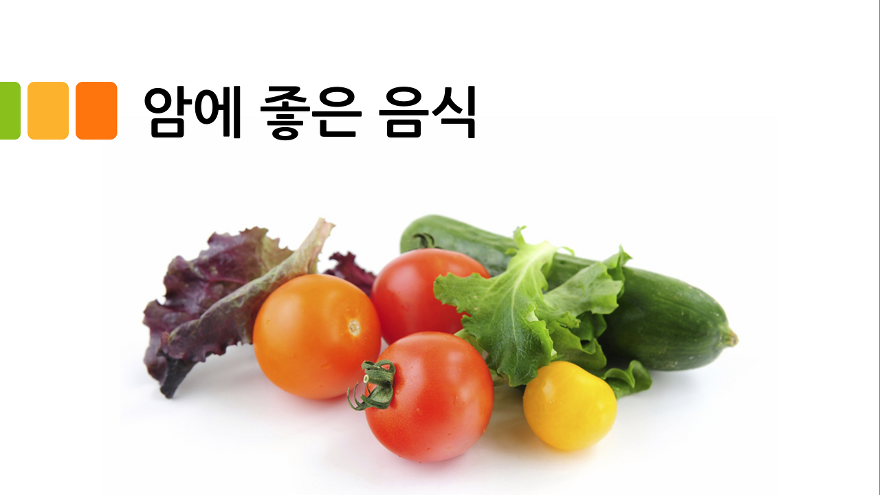  암에 좋은 음식