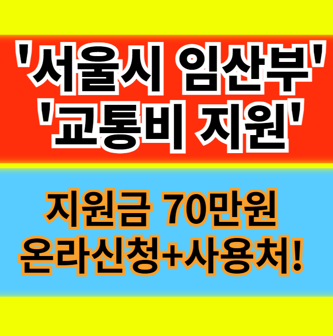  서울시 임산부 교통비 지원 혜택[지원금 70만원,온라인 신청방법,사용기간,자격 사용처] 정보