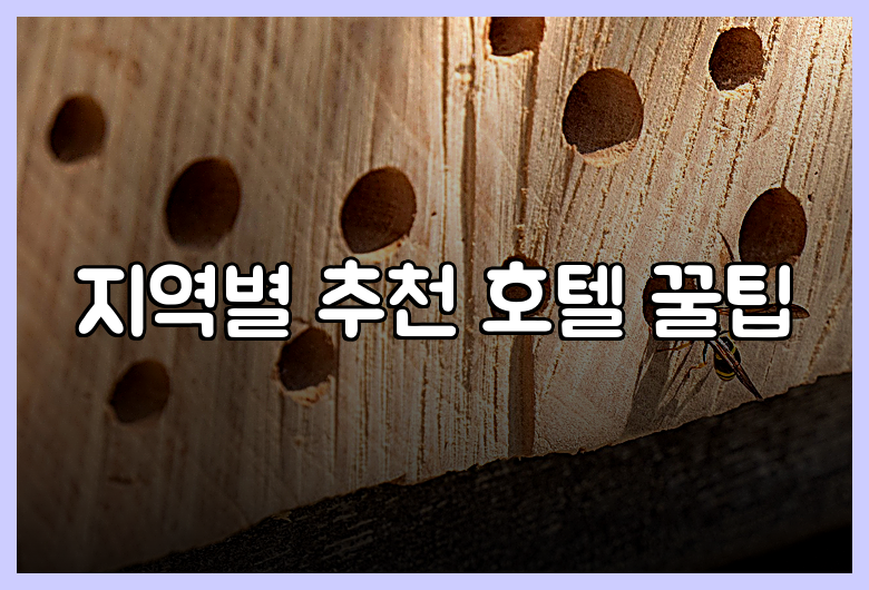 지역별 추천 호텔 꿀팁