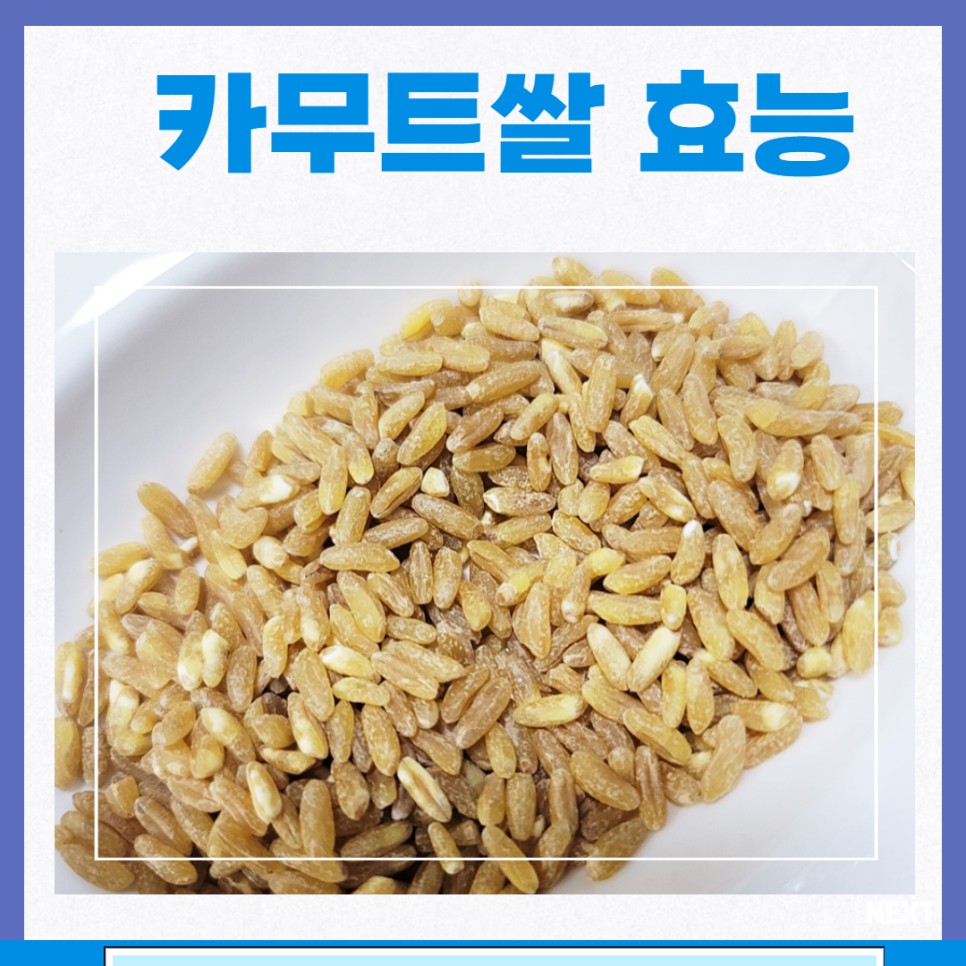 카무트쌀효능 카무트효소파우더추천부작용